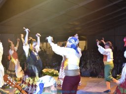 Festival de Folkore en Mula